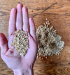 Oat Groat Bites | encourages eating, healthy weight-gain boost | 12 oz | Healthy Organic Treats for Rabbits, Guinea Pigs & Other Small Pets