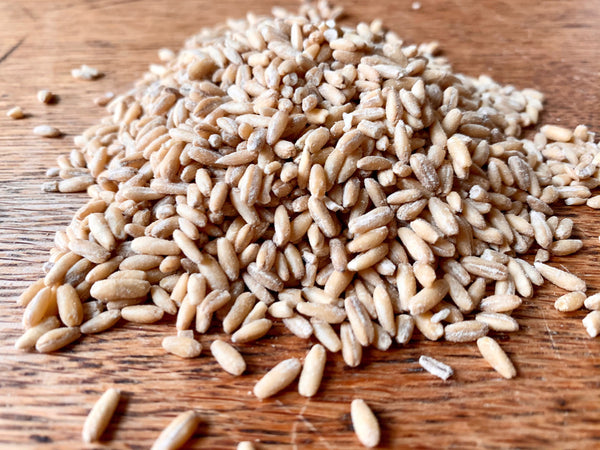 Oat Groat Bites | encourages eating, healthy weight-gain boost | 12 oz | Healthy Organic Treats for Rabbits, Guinea Pigs & Other Small Pets