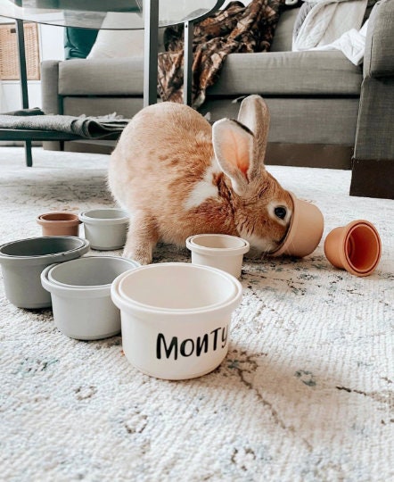 Personalized Vinyl Decals for Stacking Cups