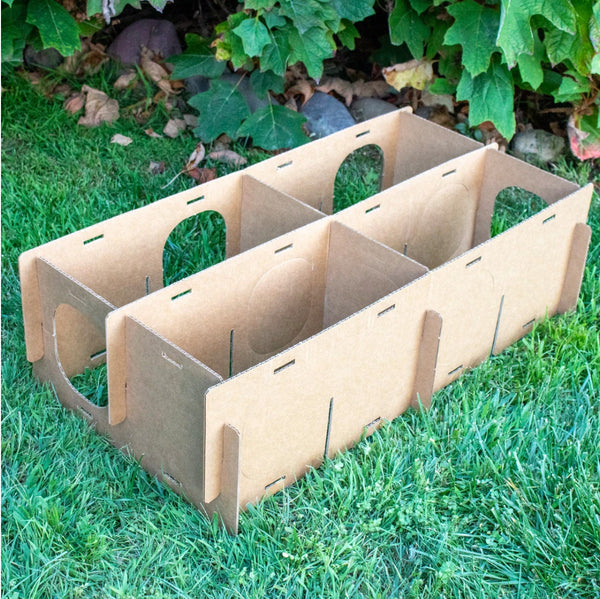 Maze Haven