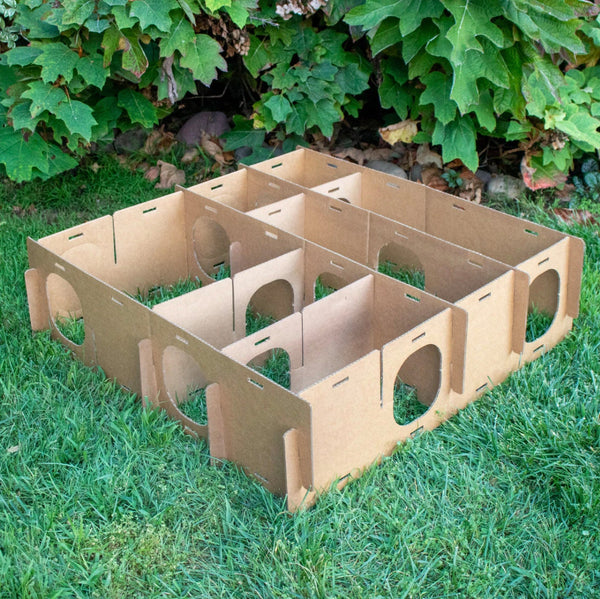 Maze Haven