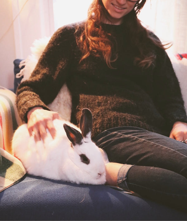 How to Prepare a Pet Sitter for Your Rabbit Before You Travel