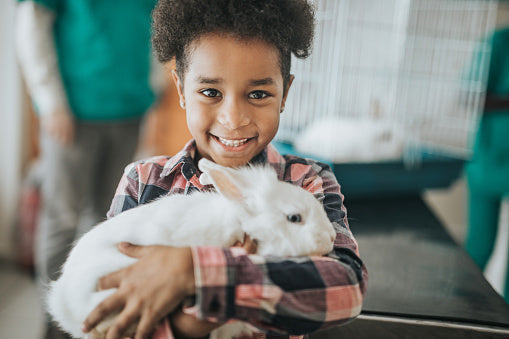 Love Without Boundaries: How Pet Rabbits Promote Inclusivity and Embrace Unconditional Love