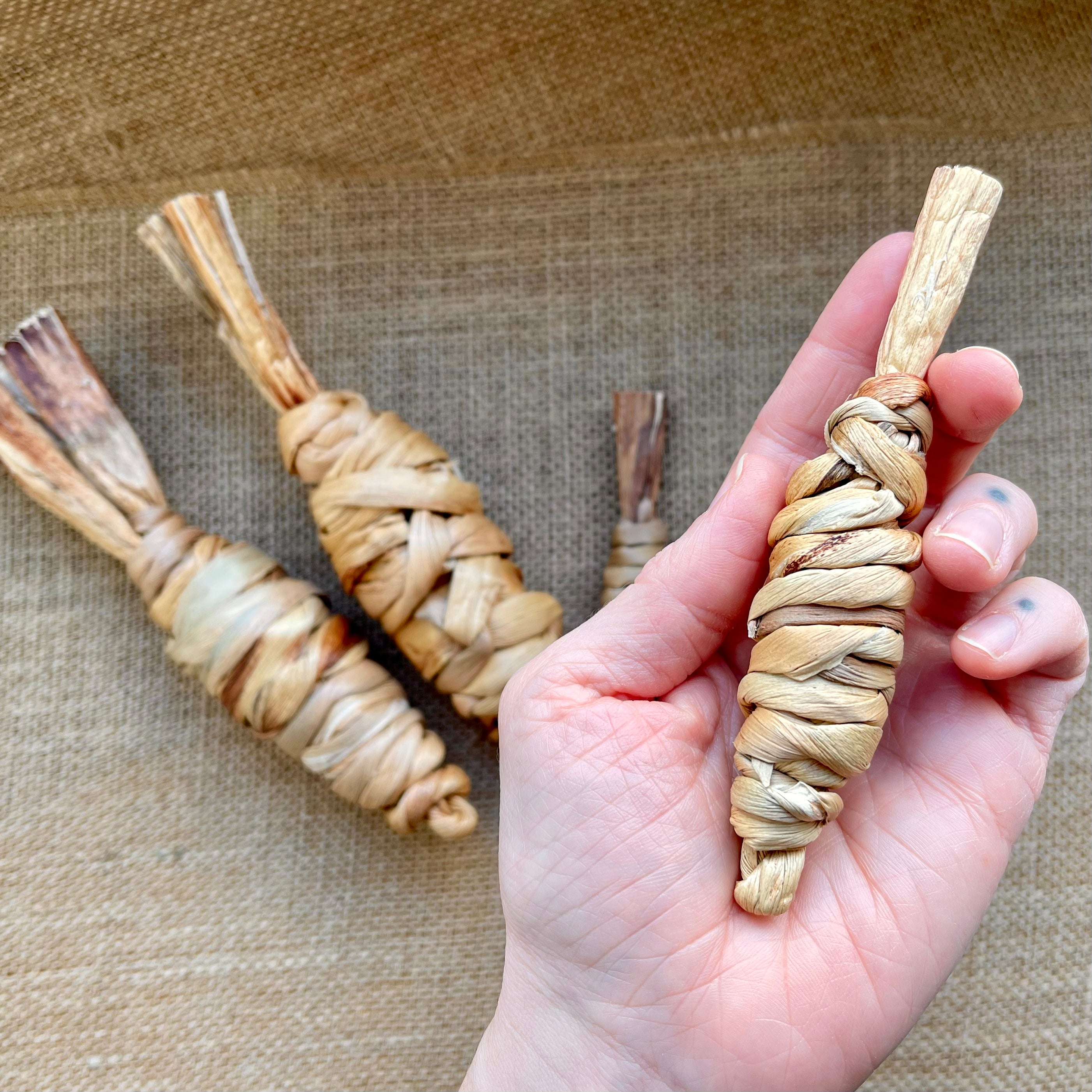 Carrot Chew Toys