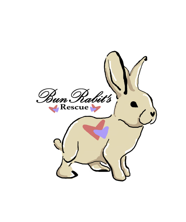 Donation to Bun Rabit's Rescue