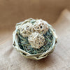 LIMITED EDITION! Springtime Bird's Nest