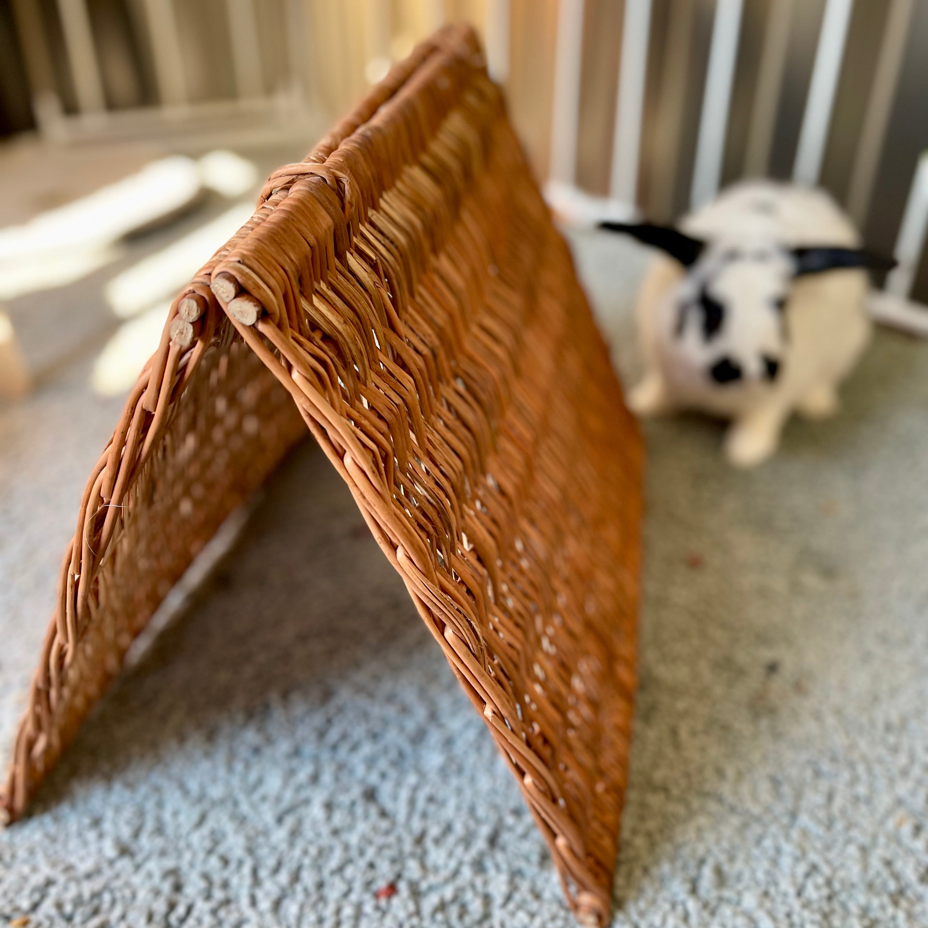 Willow Hideaway Tent (foldable)