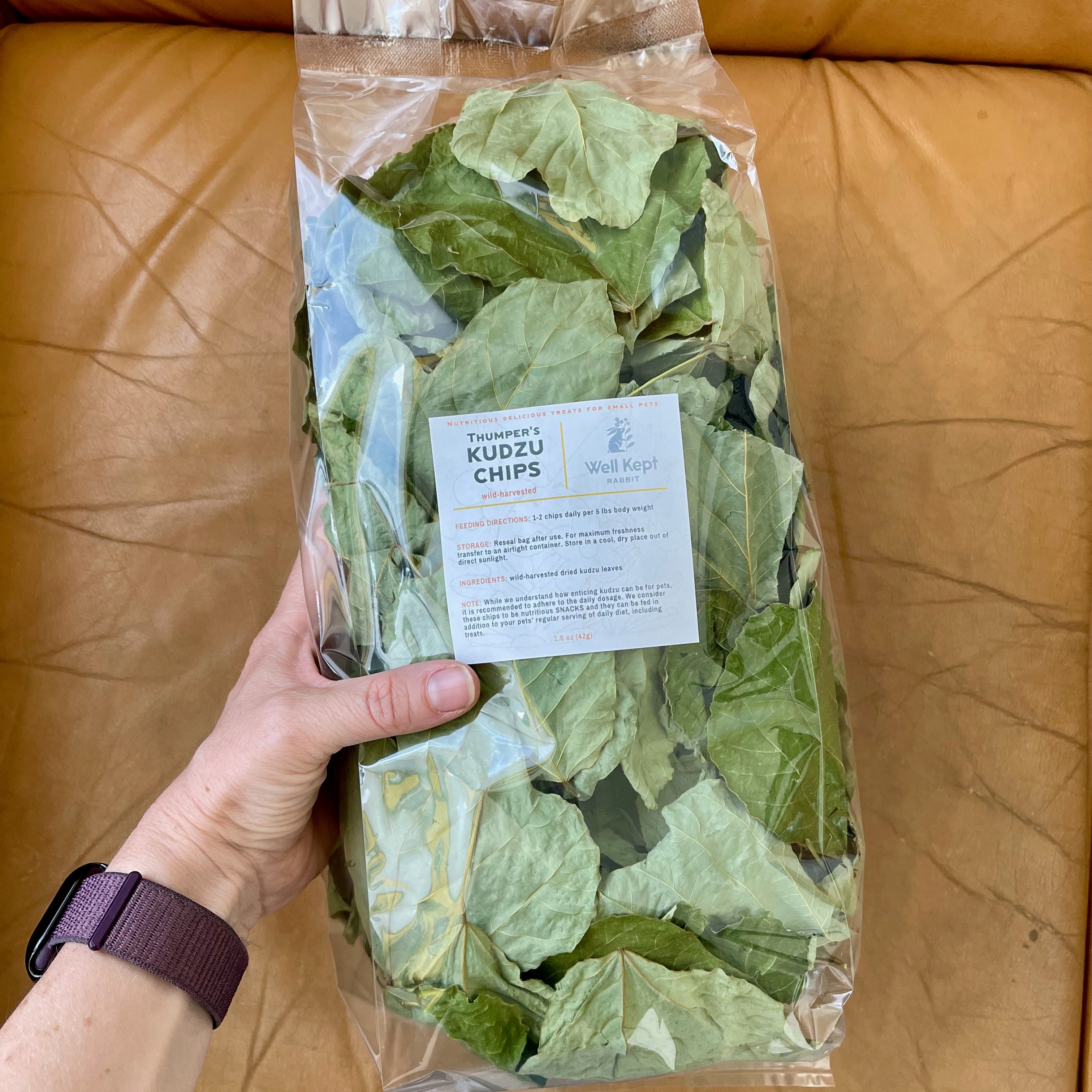 Kudzu Chips