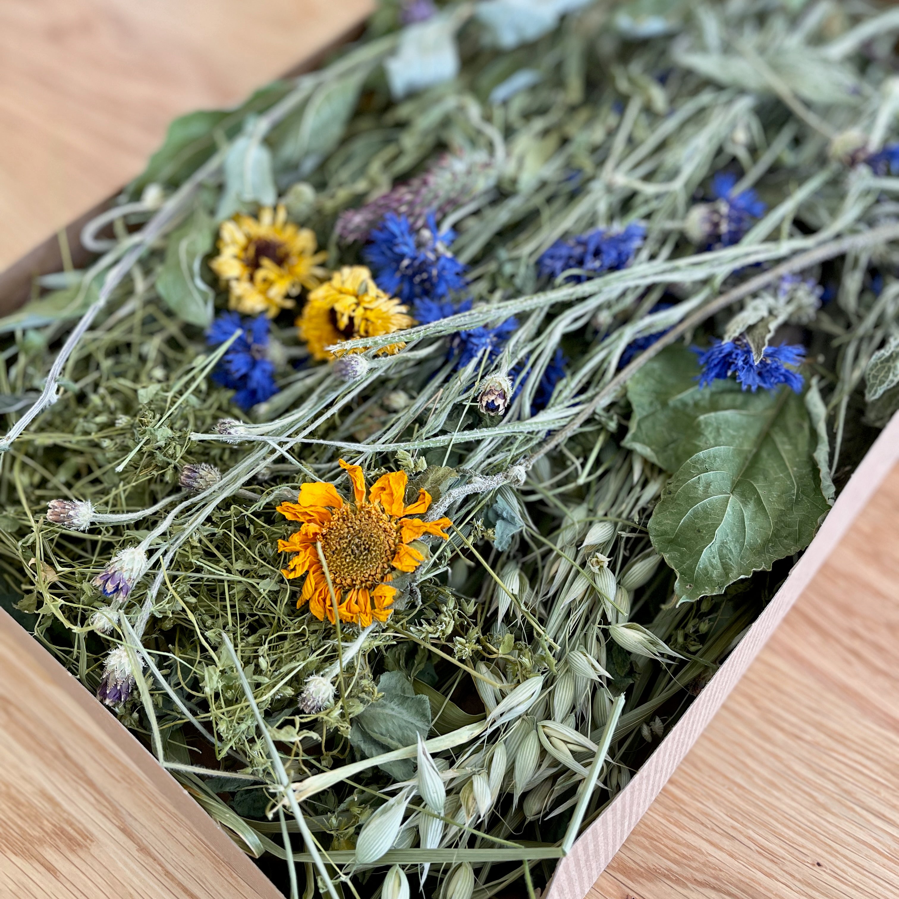 Meadow Harvest Mix