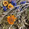 Meadow Harvest Mix