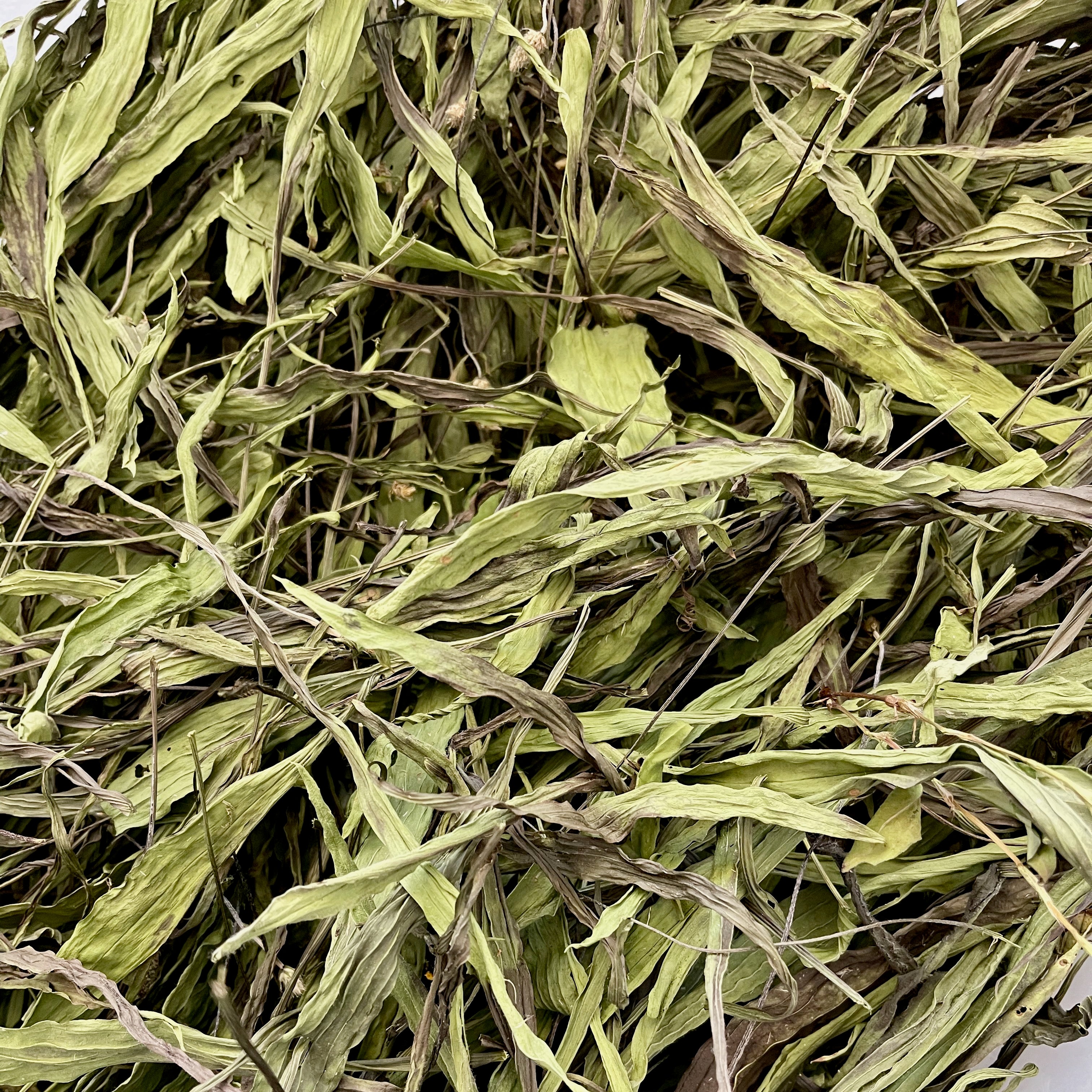 Organic Plantain Leaf - whole