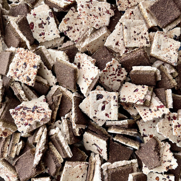 Holiday Cheer Collection