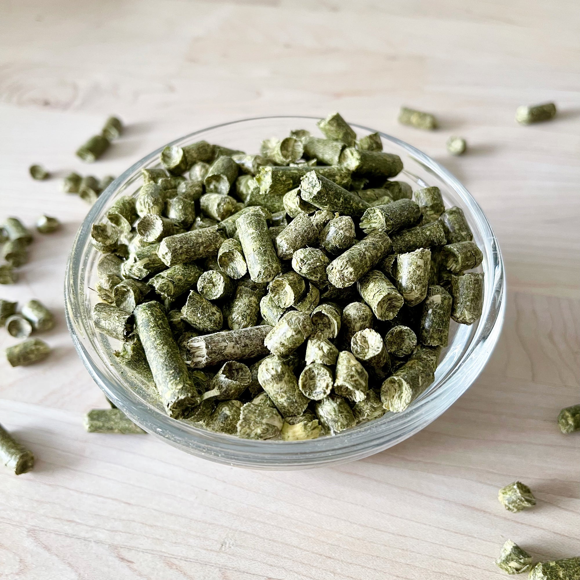 Orchard Grass Hay Bites Well Kept Rabbit