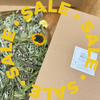 Discounted Mystery Meadow Harvest Mix