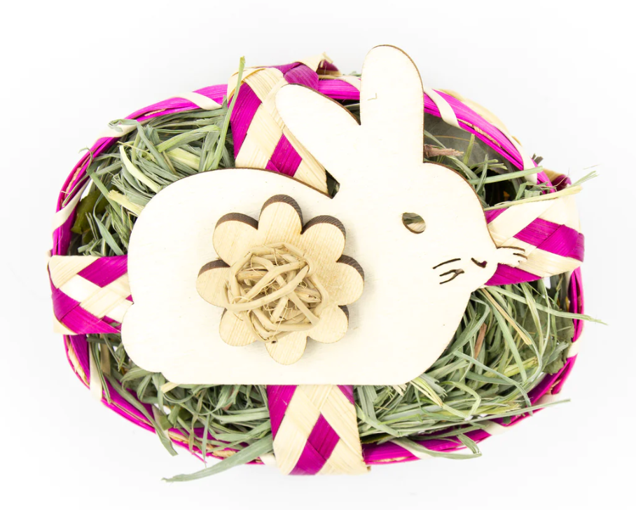 LIMITED EDITION Spring Bunny Basket