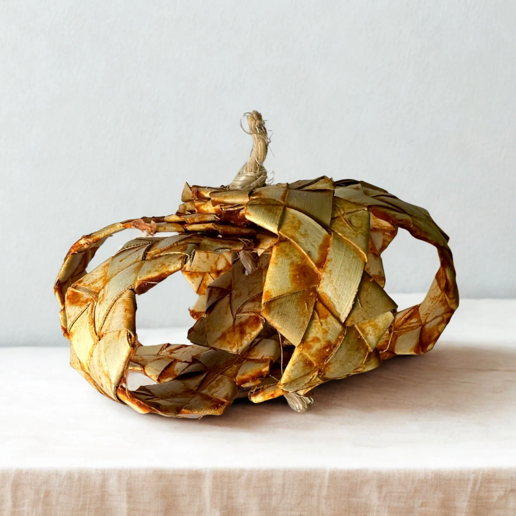 Palm Pumpkin