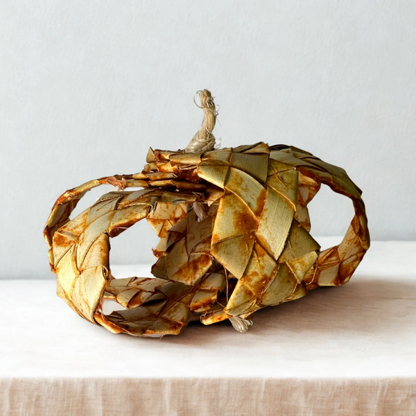 Palm Pumpkin
