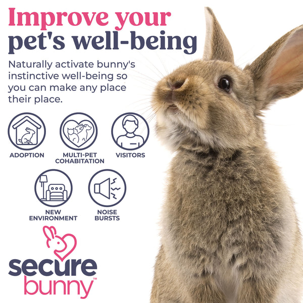 SecureBunny™ Home Diffuser