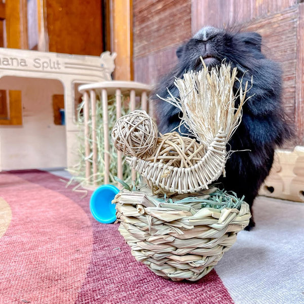 Birdie Basket