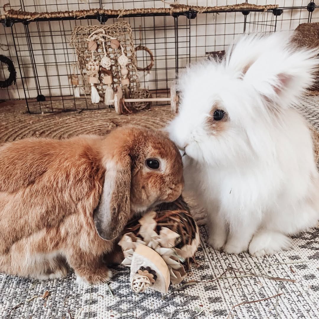 All Natural Hay Present Box