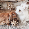 All Natural Hay Present Box