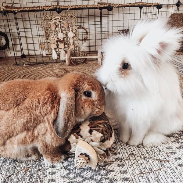 All Natural Hay Present Box