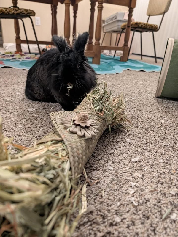 Hay-rito