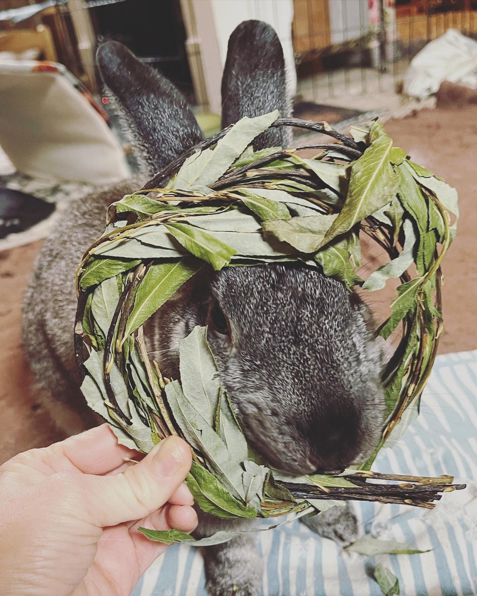 Willow Wreath – Well Kept Rabbit