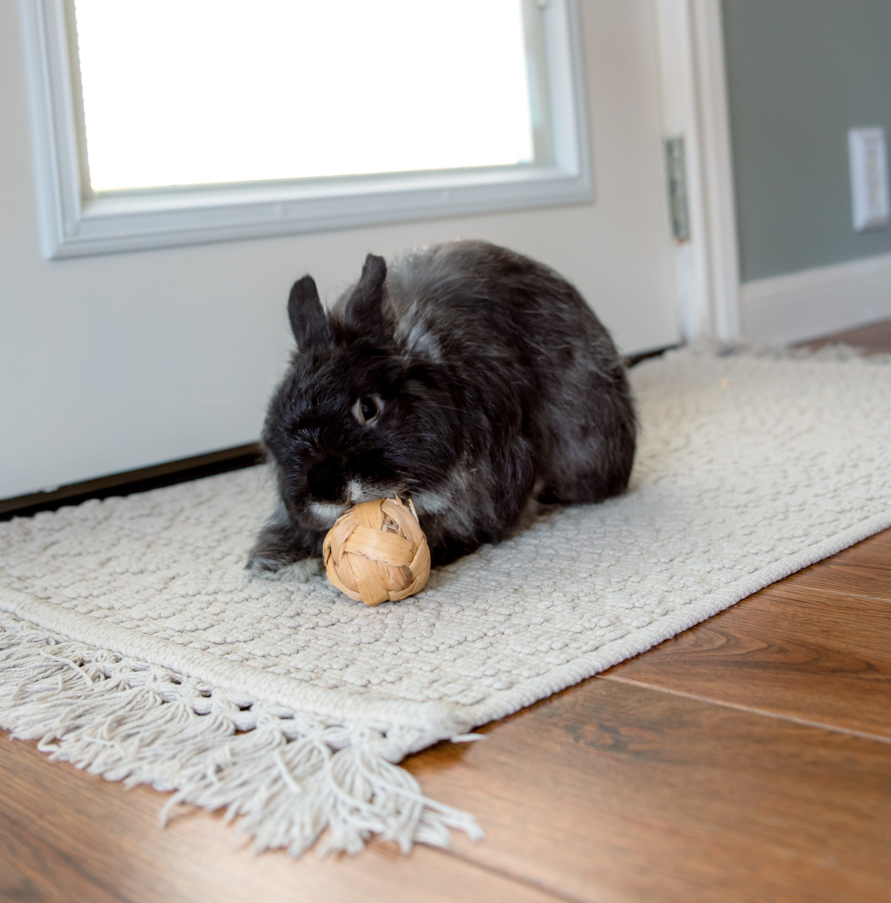 Water Hyacinth Ball Chew Toys