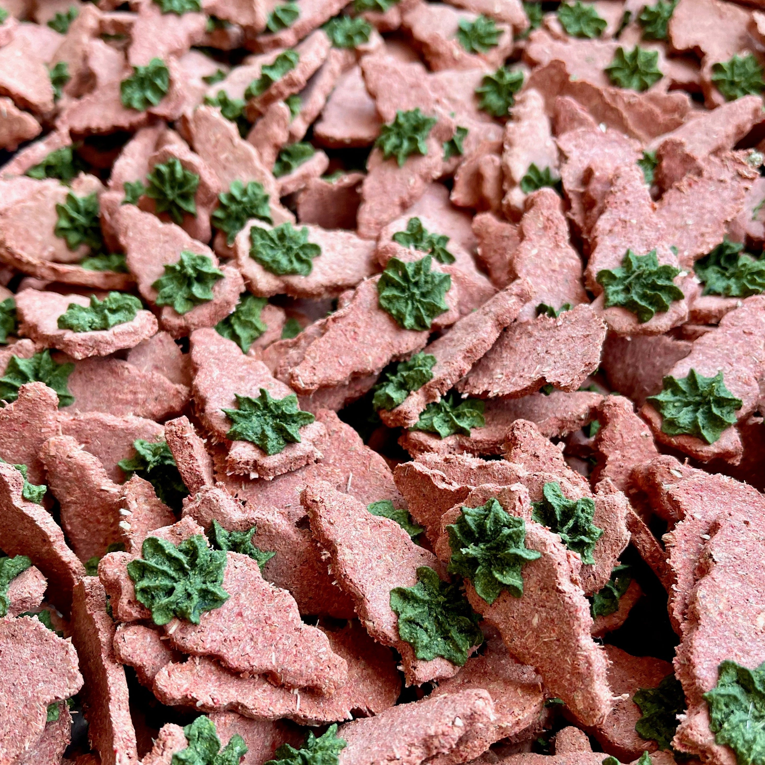 Carrot & Dill Biscuits