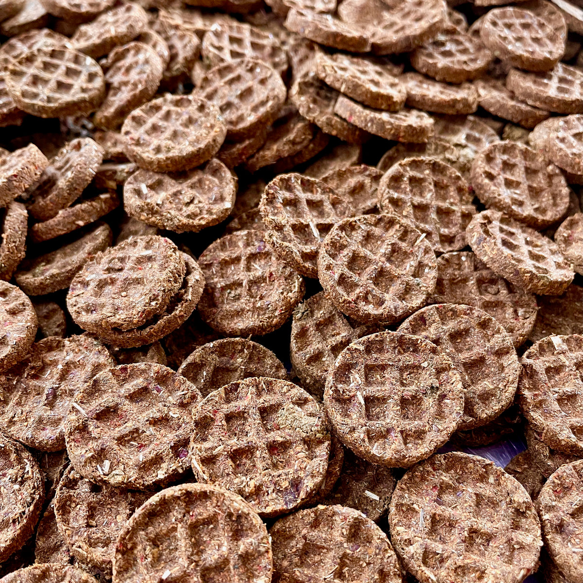 Waffles Rabbit Mini Waffles – All-Natural Herbal Treats for Rabbits & Small Pets