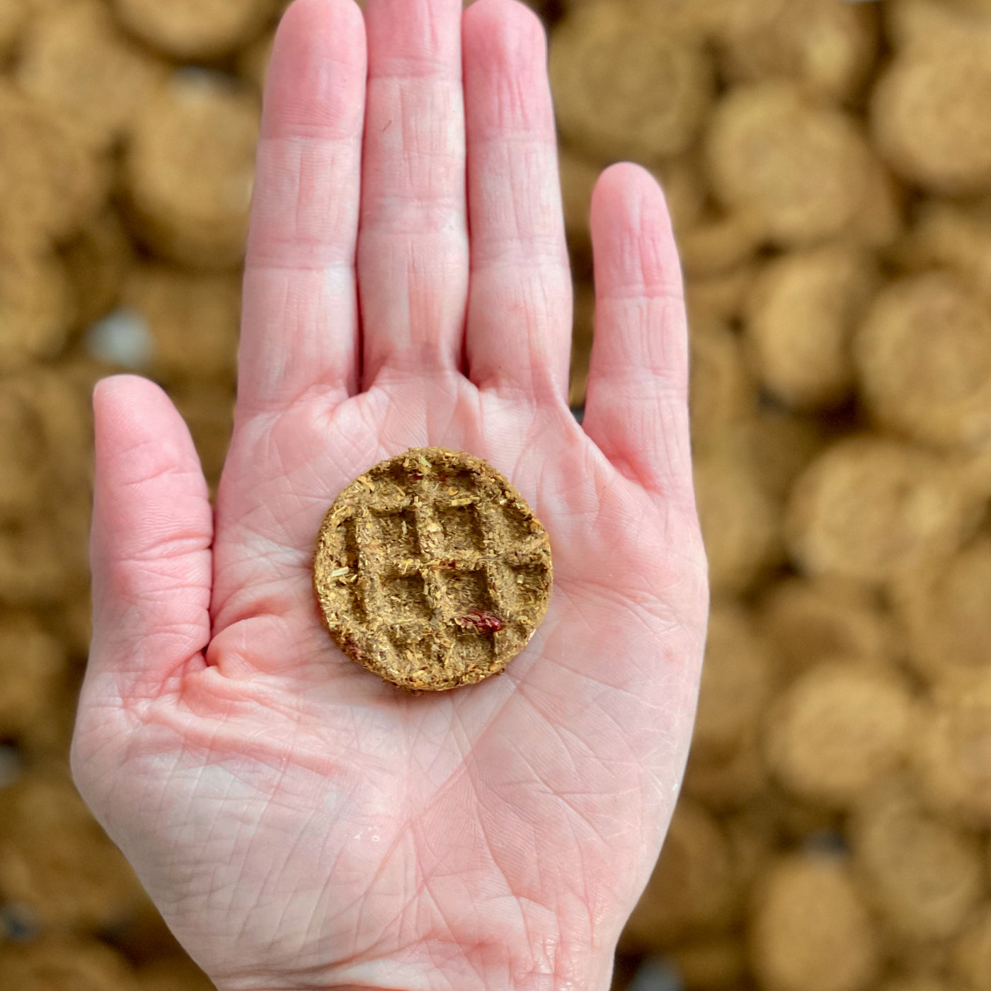 Mini Waffles – All-Natural Herbal Treats for Rabbits & Small Pets