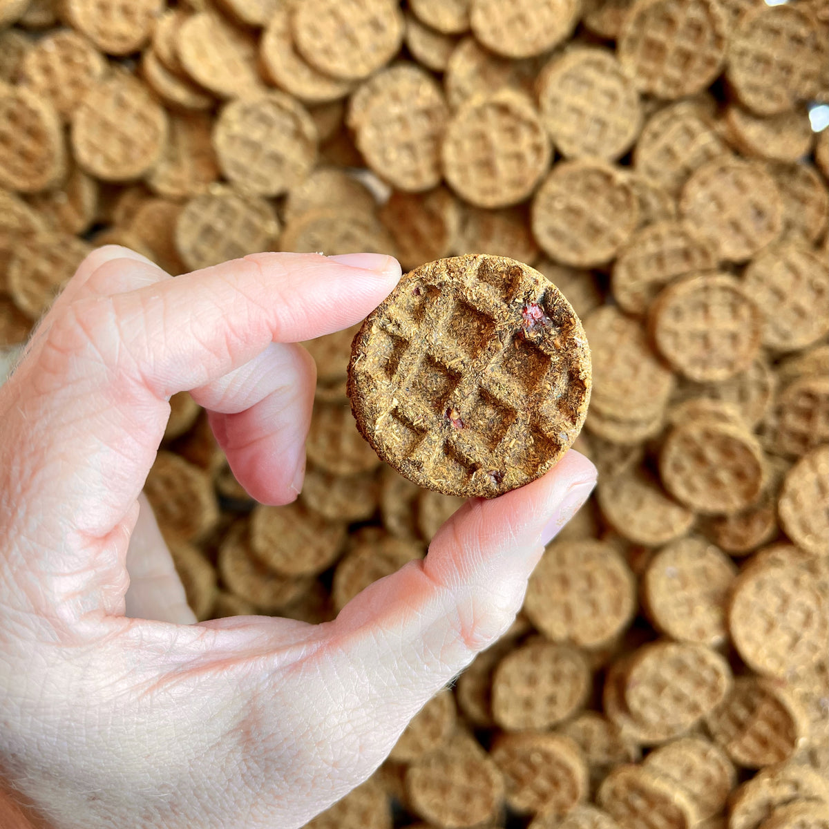 Mini Waffles – All-Natural Herbal Treats for Rabbits & Small Pets