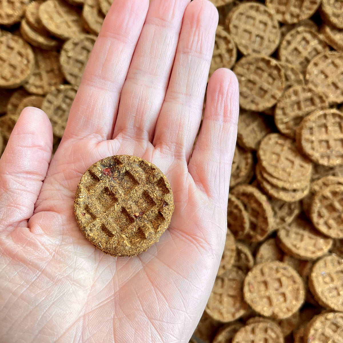 Mini Waffles – All-Natural Herbal Treats for Rabbits & Small Pets