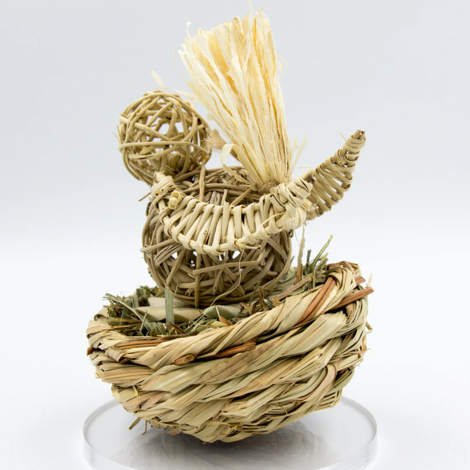 Birdie Basket - LIMITED EDITION SPRING SPECIAL!