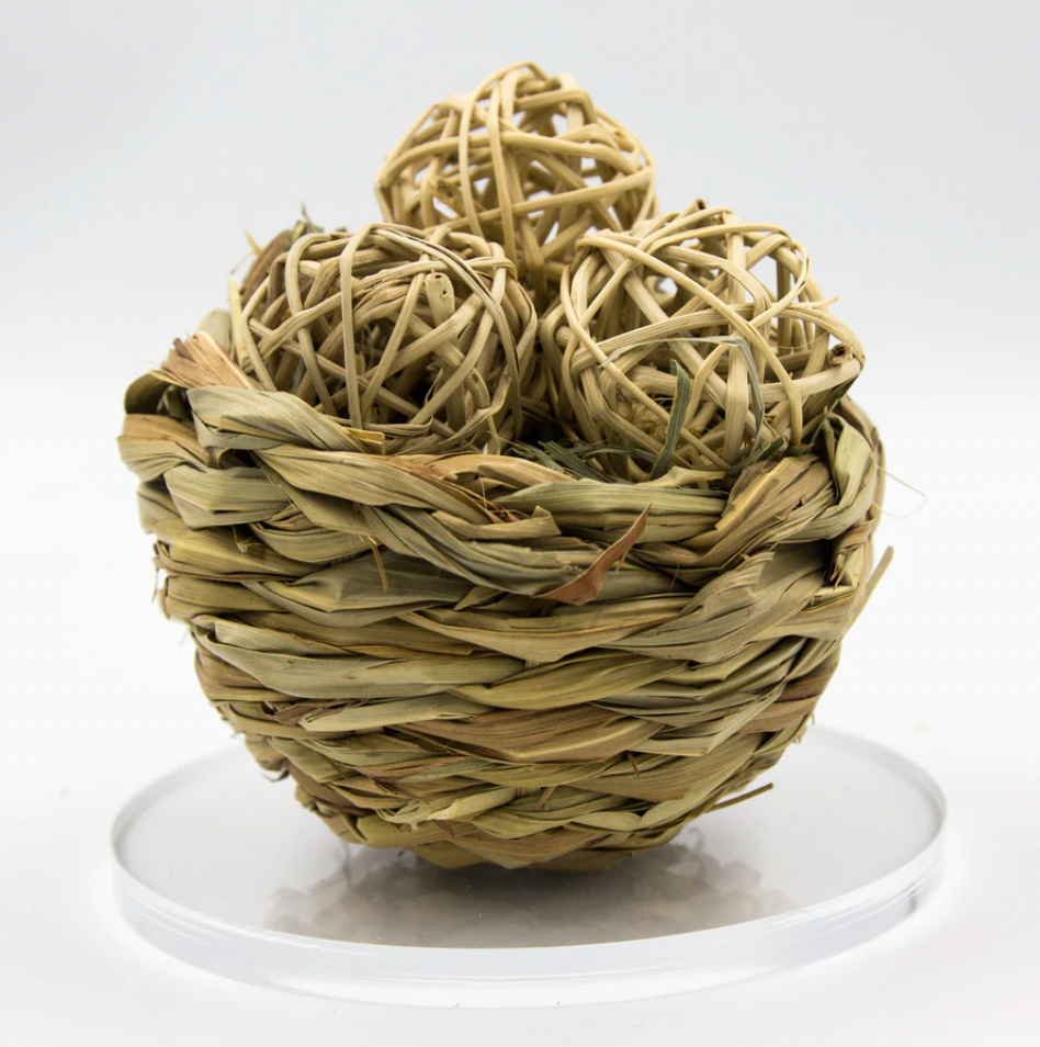 LIMITED EDITION! Springtime Bird's Nest