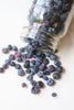 Organic Blueberry Bites
