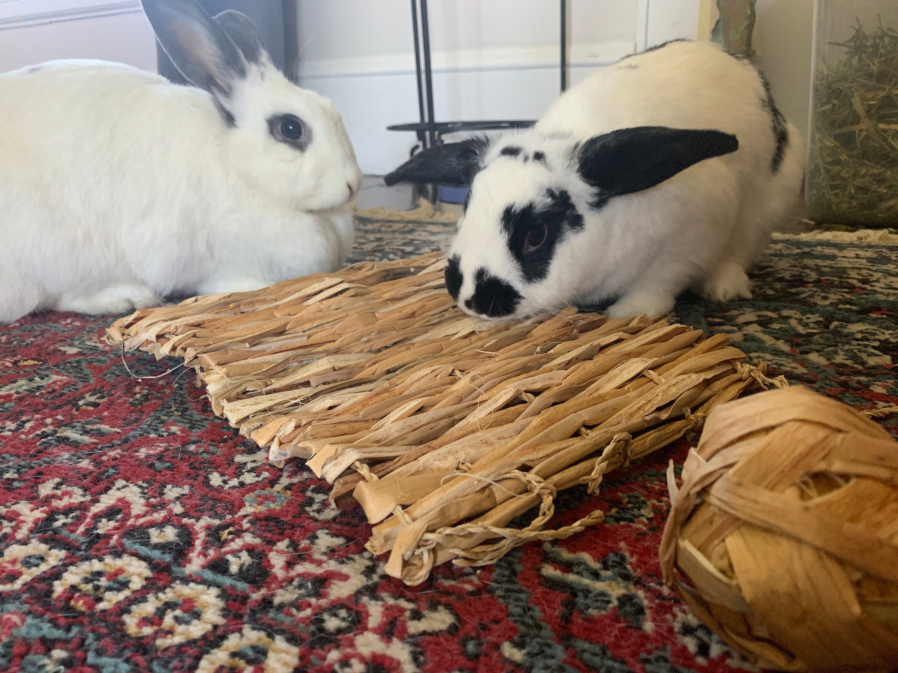 Water Hyacinth Mat Chew Toys | All-Natural | Bunny Rabbit, Guinea Pig, Chinchilla Small Pet Chew Toys | Safe | Non-Toxic | Handmade