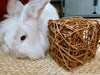Willow Cube Chew Toy | Bunny Rabbit, Guinea Pig, Chinchilla, Small Pet Enrichment | Non-Toxic | Handmade