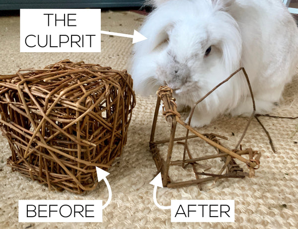 Willow Cube Chew Toy | Bunny Rabbit, Guinea Pig, Chinchilla, Small Pet Enrichment | Non-Toxic | Handmade