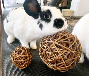 Jumbo Willow Ball | Healthy Chew Toy for Bunny Rabbits, Guinea Pigs, Chinchillas, Hamsters, Rats, Small Pets