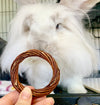 Mini Willow Ring | 2 PACK | Chew Toy for Bunny Rabbits, Guinea Pigs, Chinchillas, Hamsters, Rats, Gerbils, Small Pets