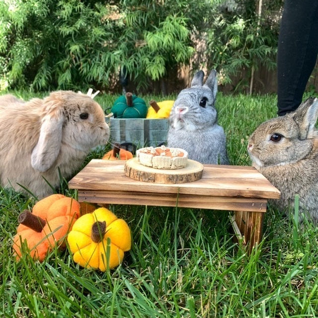 Homemade Pumpkin Pie 