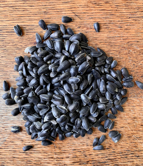 black oil sunflower seeds