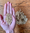 Oat Groat Bites |  encourages eating, healthy weight-gain boost | 12 oz | Healthy Organic Treats for Rabbits, Guinea Pigs & Other Small Pets