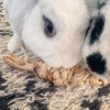 Carrot Chew Toys | Safe, Healthy, Handmade | Water Hyacinth | for Bunny Rabbits, Guinea Pigs, Chinchillas, Gerbils, Hamsters, Small Pets