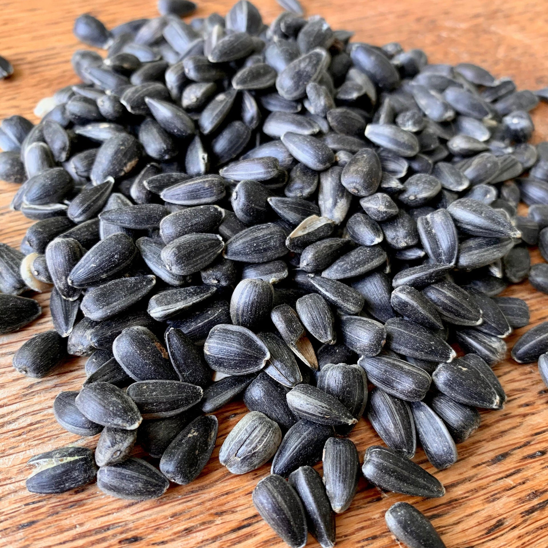 black oil sunflower seeds for planting for sale Organic Black Oil Sunflower Seeds