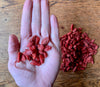 Goji Berry Bites | eye health, low-sugar, superfood | 3 oz | Healthy Organic Treats for Bunny Rabbits, Guinea Pigs & Chinchillas