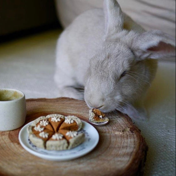 Homemade Pumpkin Pie 