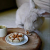 Homemade Pumpkin Pie 